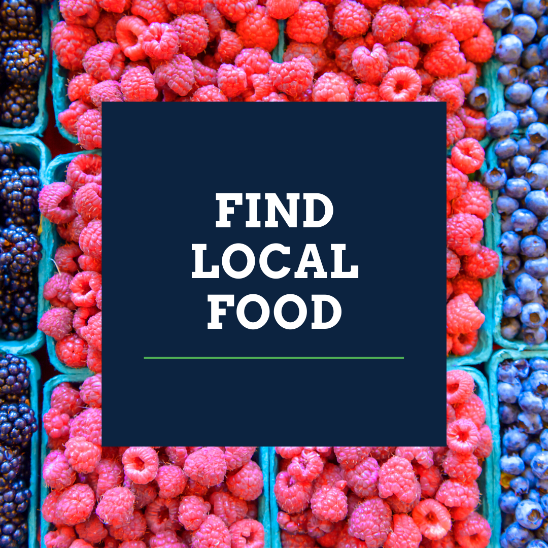 find local food over collage of blackberries, raspberries and blueberries