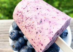 Blueberry Banana Popsicle